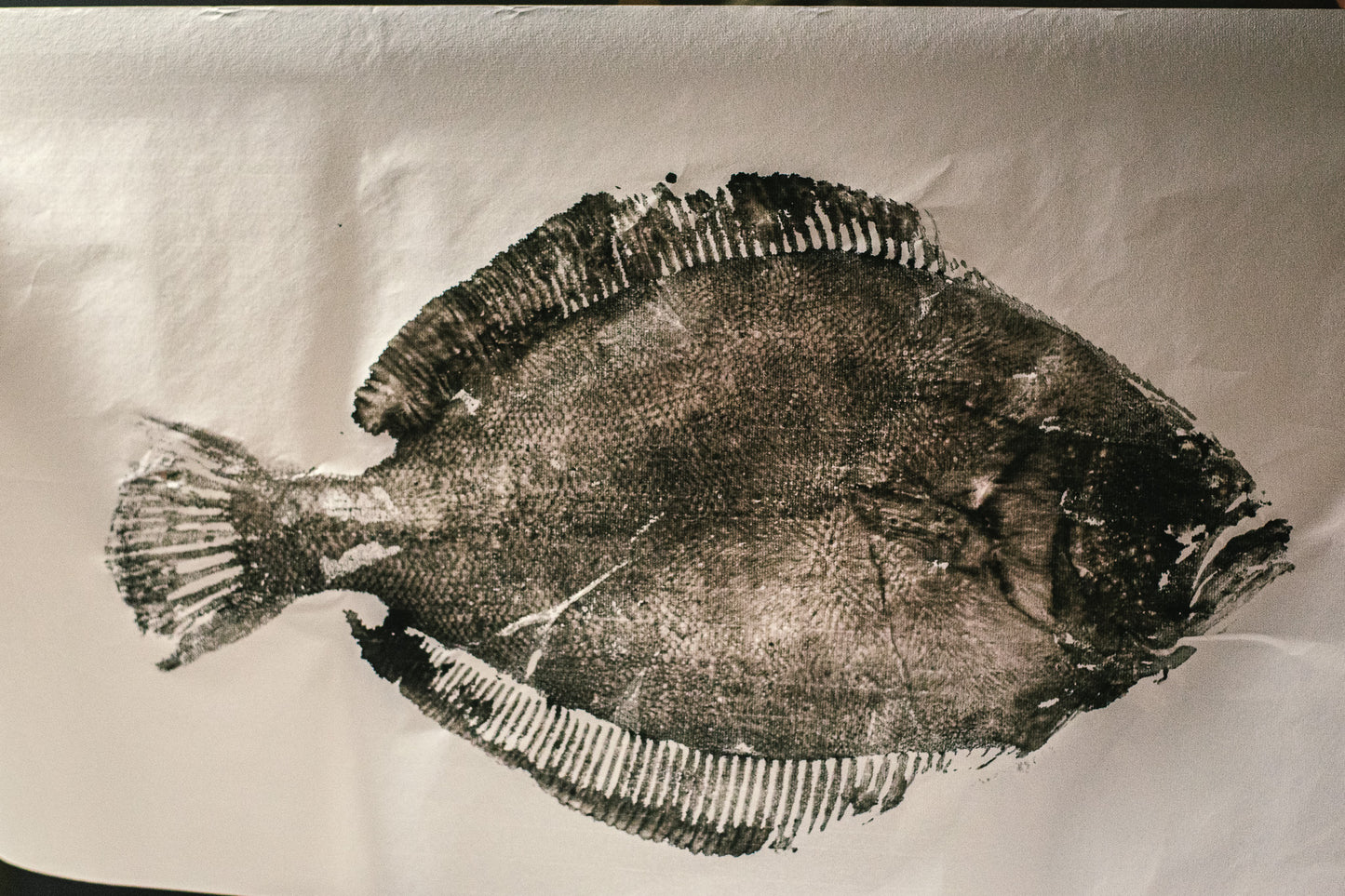 Gyotaku Fish Printing Kit